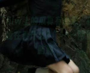“hlw上的瓜真有意思，但有时候我怀疑，我在看什么？”——网址背后的脑洞