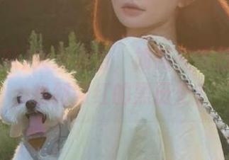 突来袭击，如何在今日吃瓜app找到网红的黑历史？